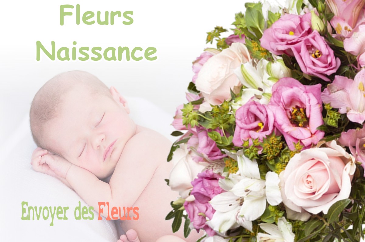 lIVRAISON FLEURS NAISSANCE à SAINT-ALBIN-DE-VAULSERRE